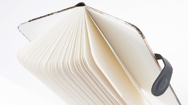 Buch Cover